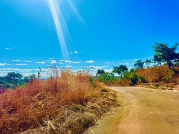 Farm & Agricultural Land