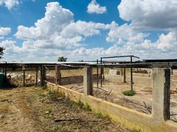 Farm & Agricultural Land