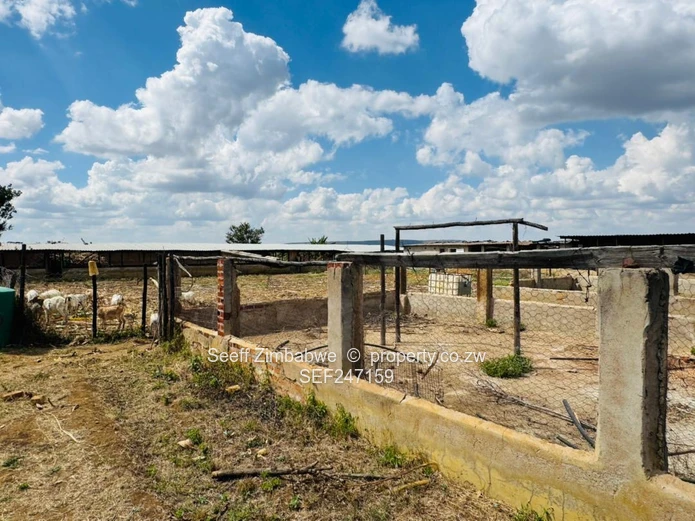 Prime Multi-Purpose Plot | Knowe, Norton