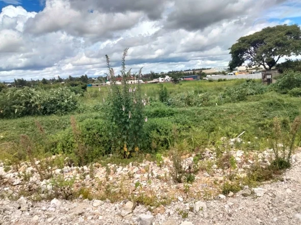 Commercial & Industrial Land