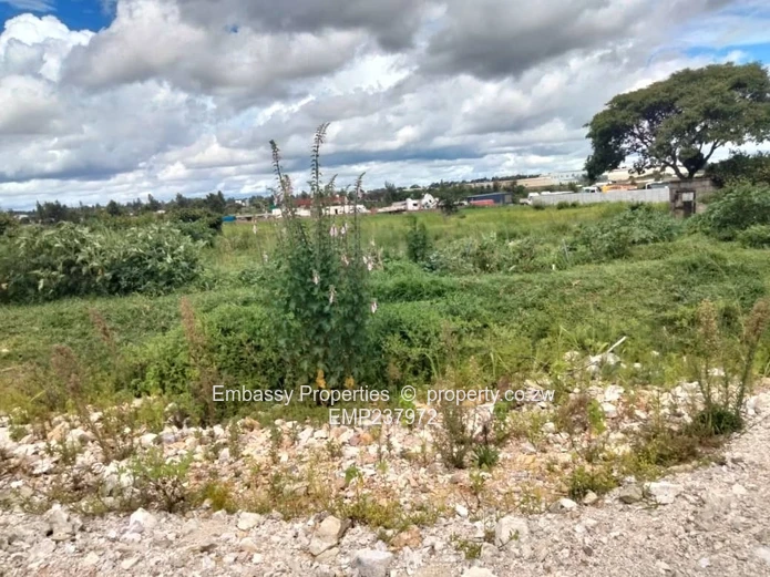 Investment opportunity