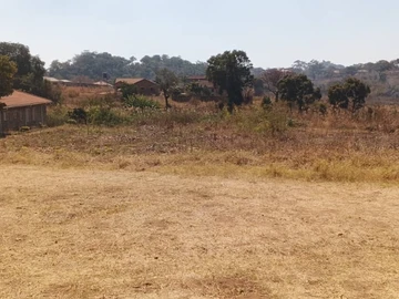 Land