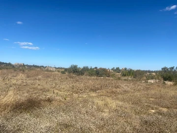 Farm & Agricultural Land