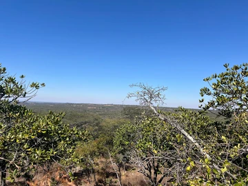 Farm & Agricultural Land