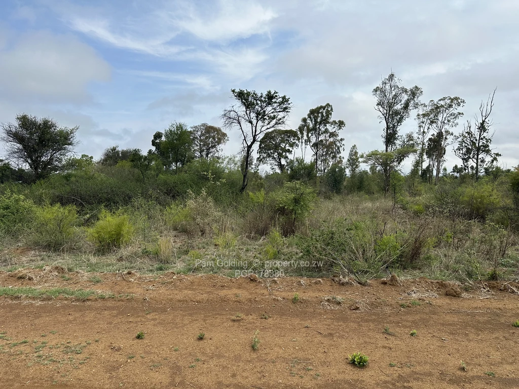 Stands & Residential Land for Sale in Gweru CBD PGP178380