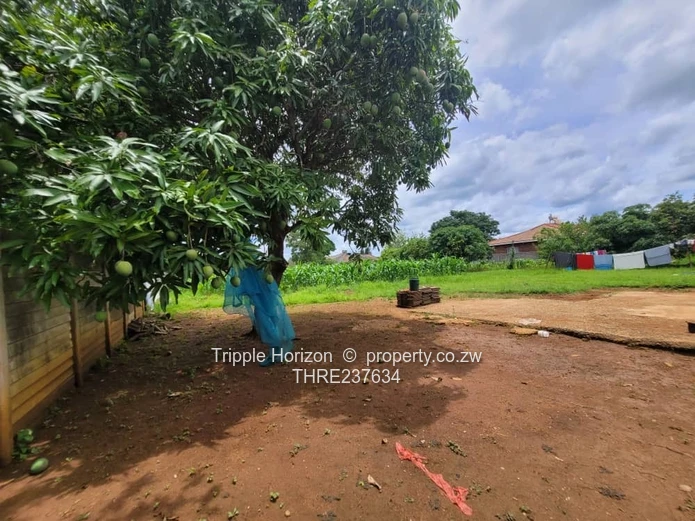 Stand for sale with cottage