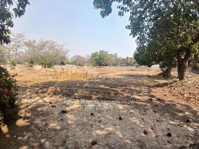 Harare Drive Frontage: 8239 sqm with a 4-Bed Home (Sole Mandate)