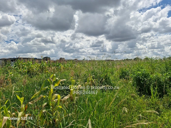 Nyatsime Park- built up area