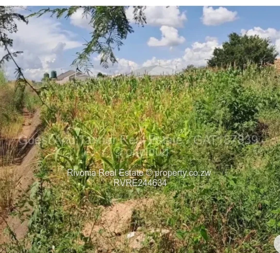 Budiriro Cabs 300Sqm Stand