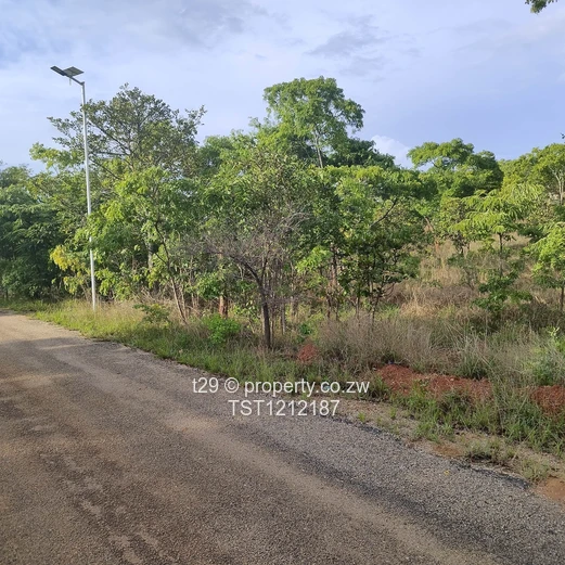 Borrowdale Carrick creagh estate stand for sale (Sole Mandate)