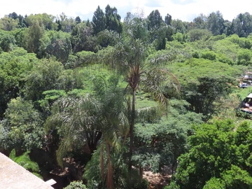 3 Bedroom Flat & Apartment