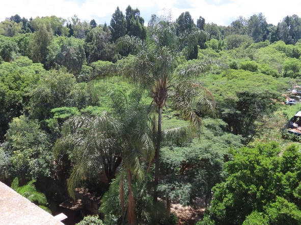 3 Bedroom Flat & Apartment