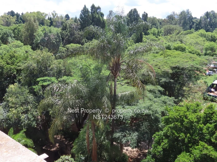 Avenues Penthouse suite for Sale! (Sole Mandate)