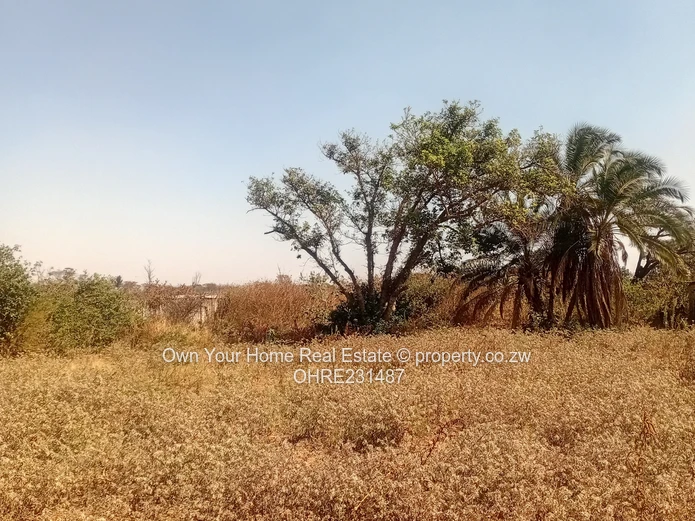 Mount Hampden Plot For Sale 
