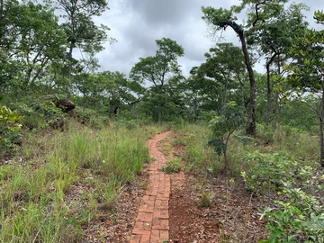 5 Acres with Stunning Views 