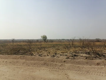 Farm & Agricultural Land