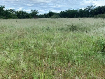 Farm & Agricultural Land