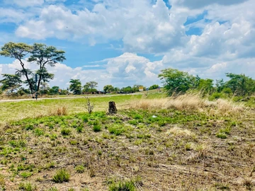 Farm & Agricultural Land