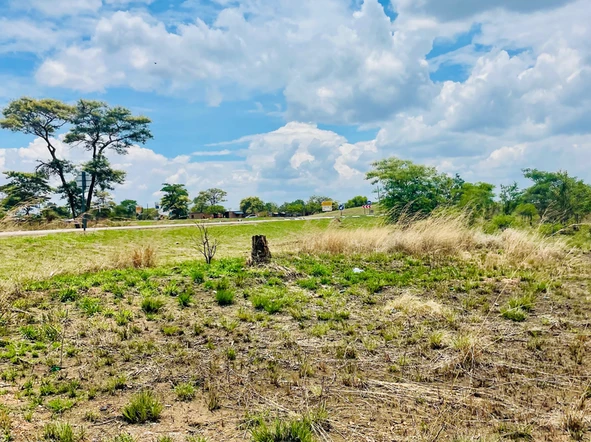 Farm & Agricultural Land