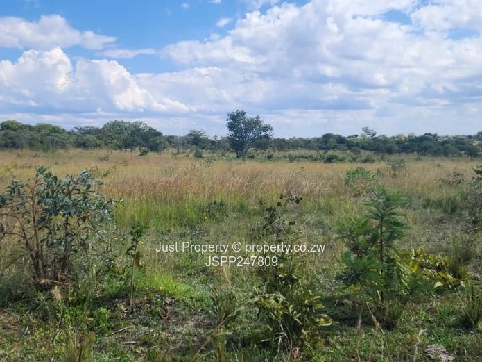 Wedza Primary and Secondary School stand