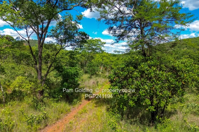 Commercial  / Agro Residential Land For Sale – Arcturus, Cromlet!
