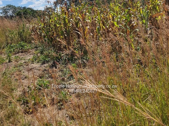 1000m² Stand in Crowhill Views — Gravel Road Access