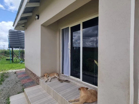 Stands & Residential Land