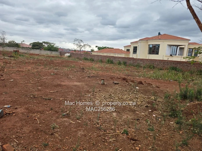 Ready to Build Stand for Sale