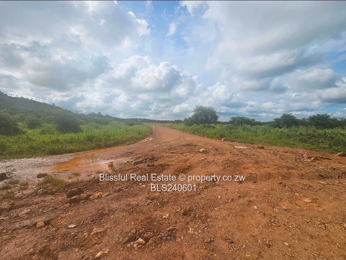 Stands for sale in Doornfontein 