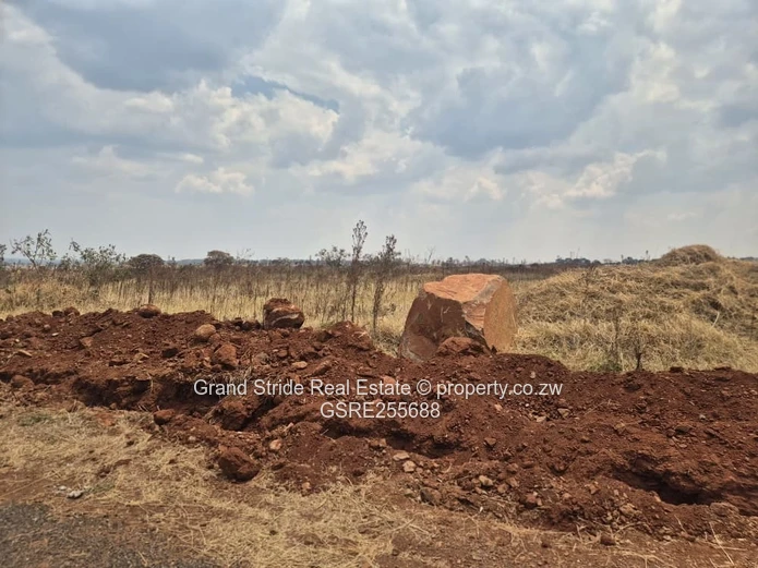 Nyeredzi Ridge Stand For Sale