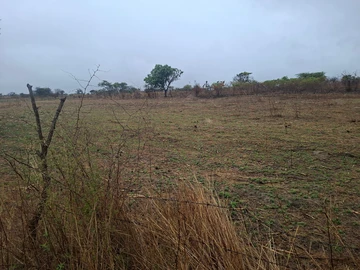 Farm & Agricultural Land