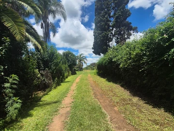 Commercial & Industrial Land