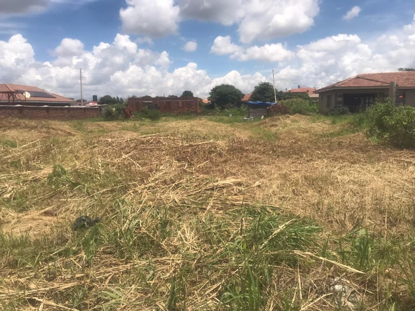 Stands & Residential Land