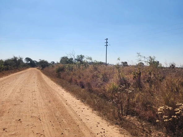 Farm & Agricultural Land