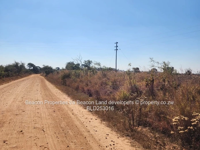 Prime Hurngwe Plots For Sale 