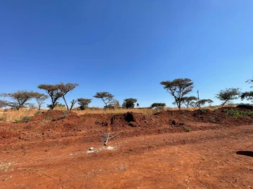 Stands & Residential Land