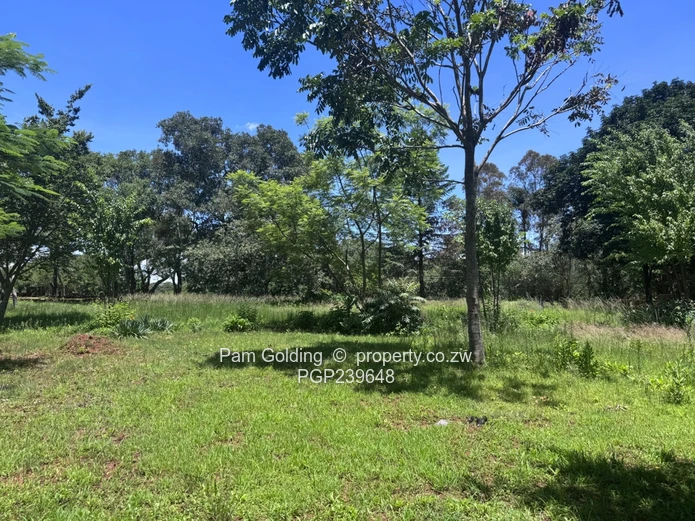 Prime Development Opportunity In Chisipite! (Sole Mandate)