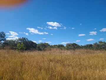 Farm & Agricultural Land