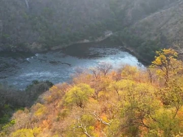 Commercial & Industrial Land