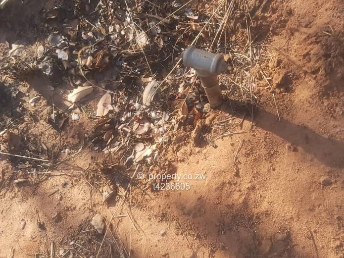 Gweru Hertfordshire stand for sale  (Sole Mandate)