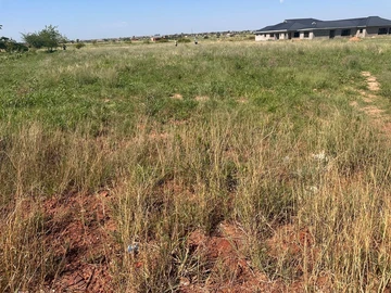 Stands & Residential Land