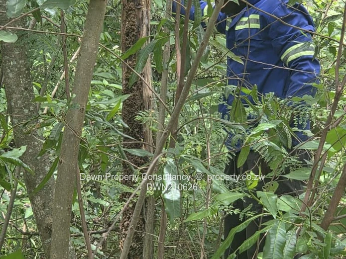 Residential stand for sale in the esteemed Ruwa Country Club