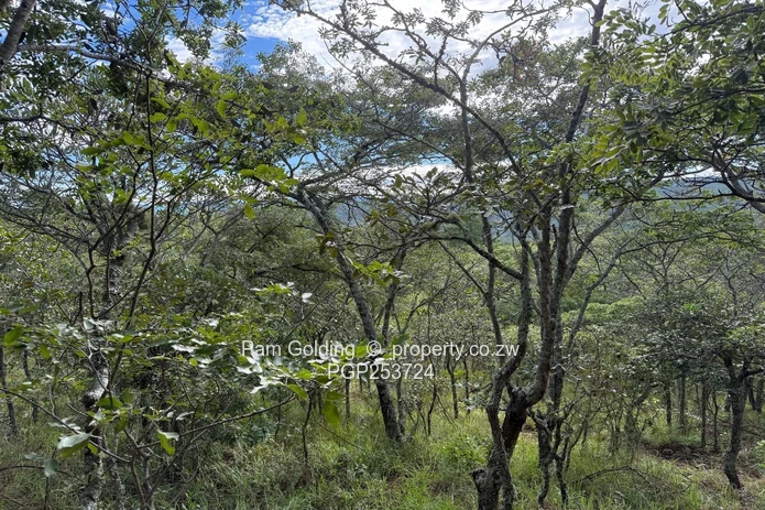 Juliasdale Property for Sale