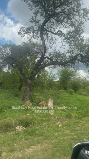 Maximize visibility- Highway Commercial Land for Sale  in Mvuma (Sole Mandate)