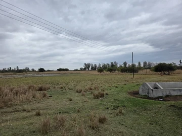 Farm & Agricultural Land