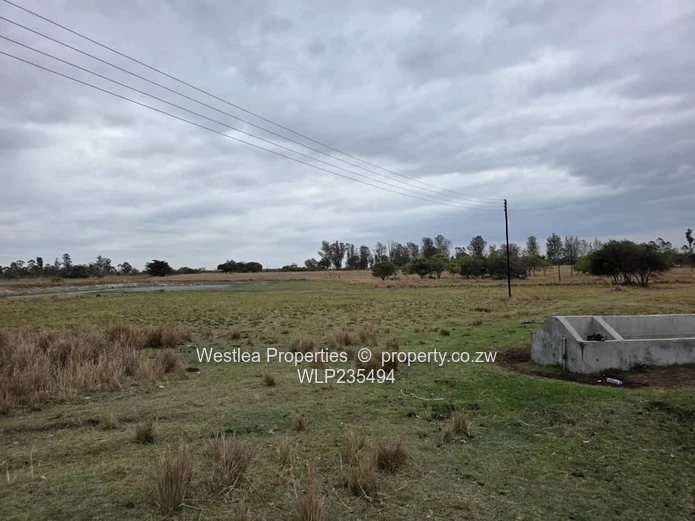 An opportunity not to miss