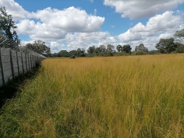 Farm & Agricultural Land