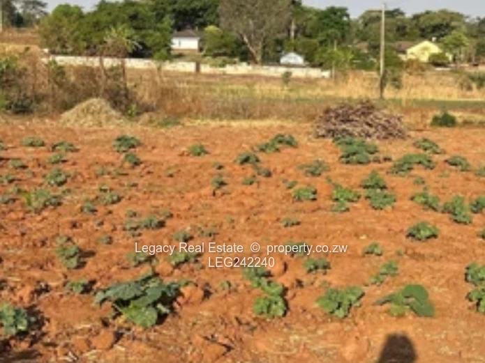 Orange Grove  Land with Incomplete House and a Cottage – Chinhoyi | 9,900m² Stand