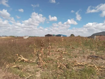 Commercial & Industrial Land