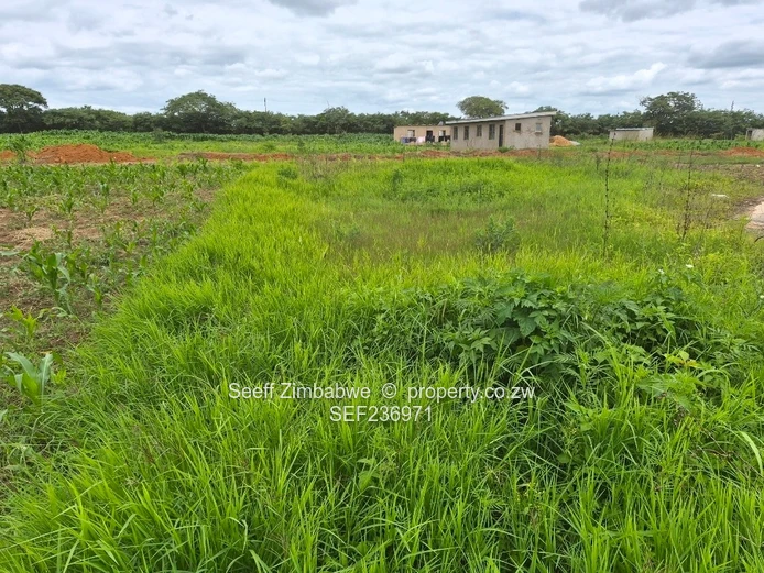 Spacious 1200sqm Residential Stand for Sale in Hunters Rest, Ruwa  (Sole Mandate)